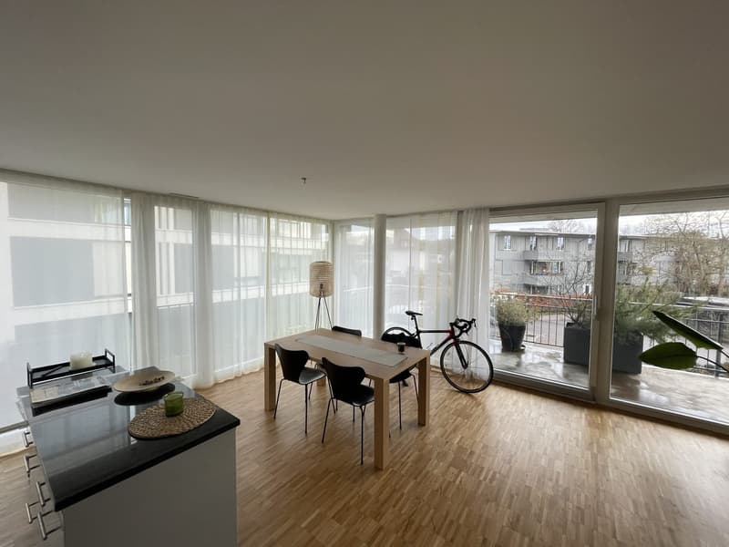 3 ½ Zimmer-Wohnung, 8404 Winterthur (12)