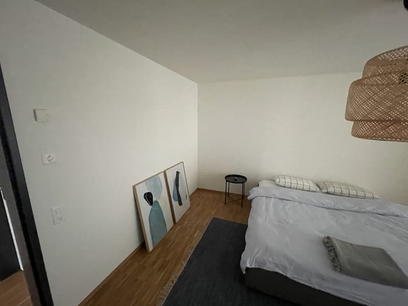 3 ½ Zimmer-Wohnung, 8404 Winterthur (4)