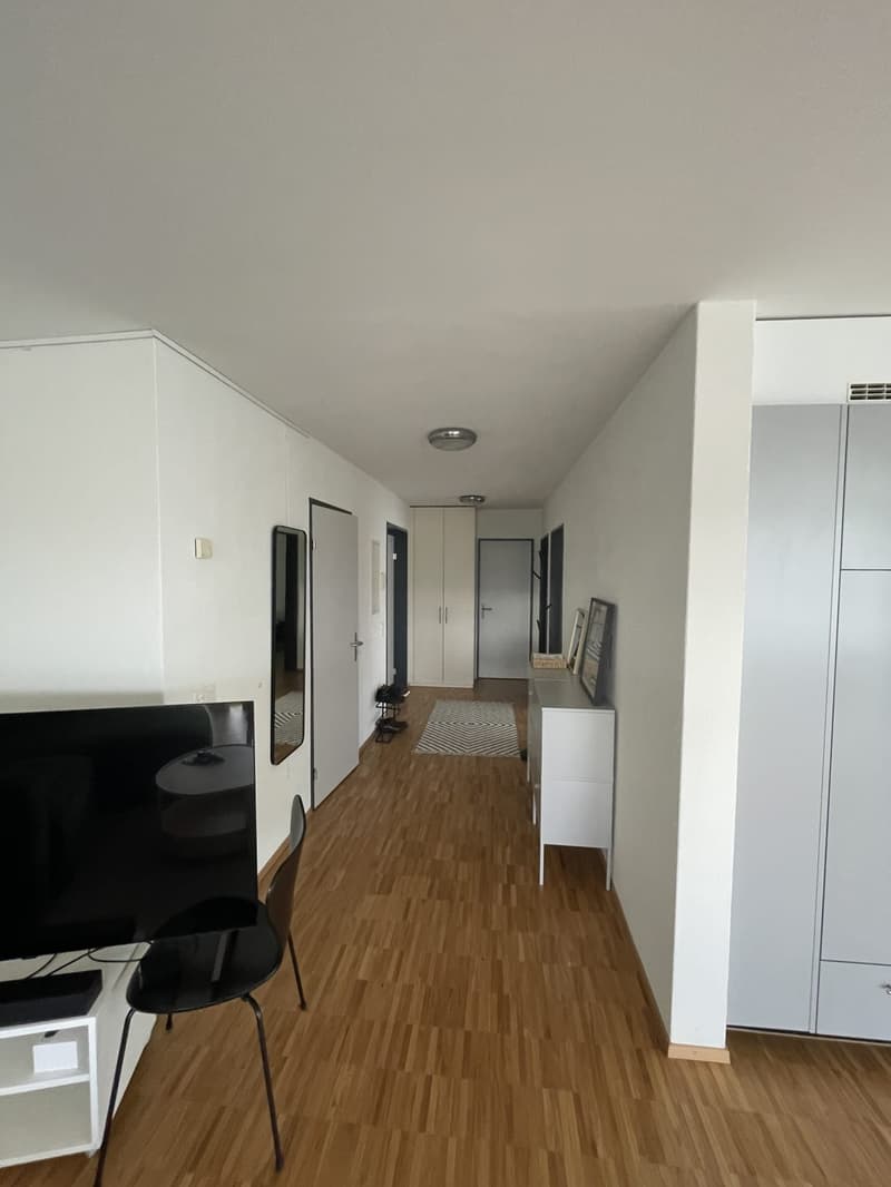 3 ½ Zimmer-Wohnung, 8404 Winterthur (2)