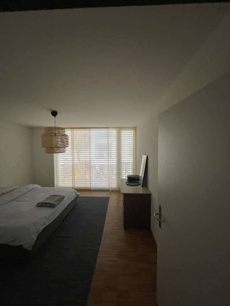 3 ½ Zimmer-Wohnung, 8404 Winterthur (7)