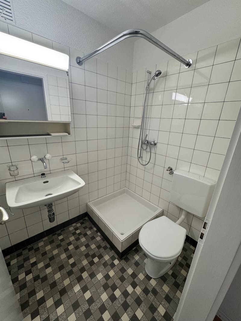 Nachmieter für meine gemütliche 1-Zimmerwohnung in Töss gesucht! (5)