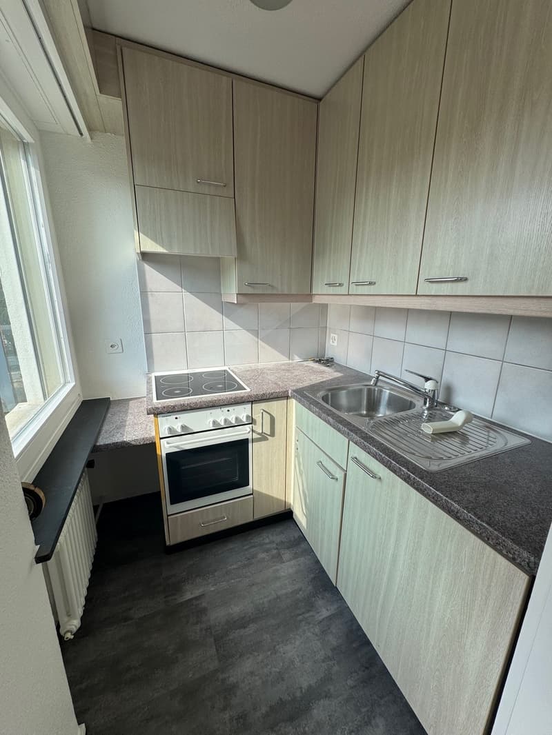 Nachmieter für meine gemütliche 1-Zimmerwohnung in Töss gesucht! (4)