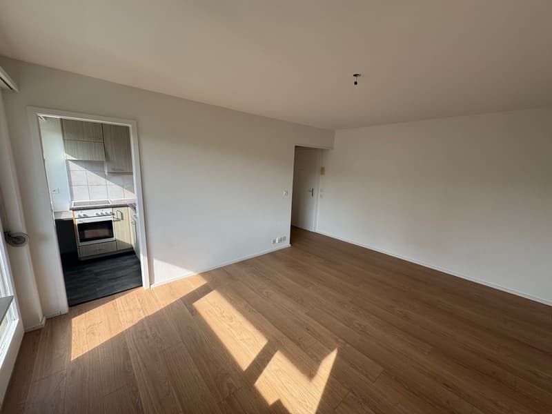 Nachmieter für meine gemütliche 1-Zimmerwohnung in Töss gesucht! (3)