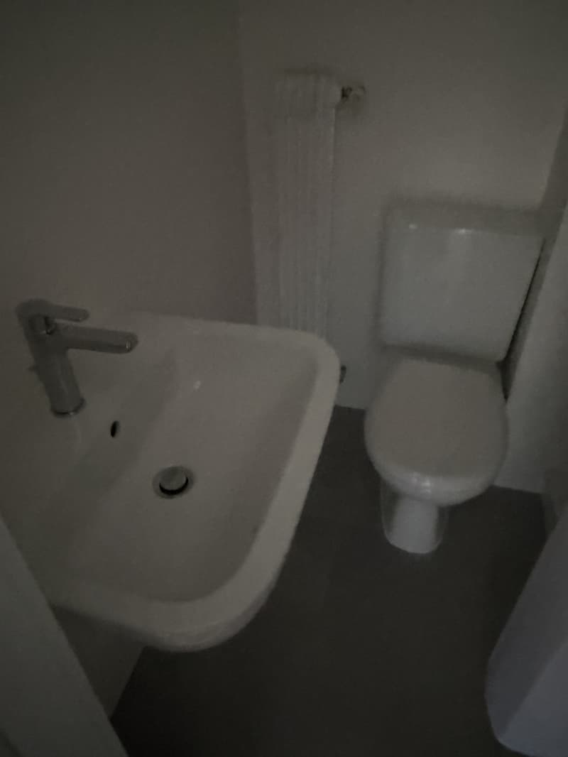 Appartement 1 ½ pièces, 1800 Vevey (2)