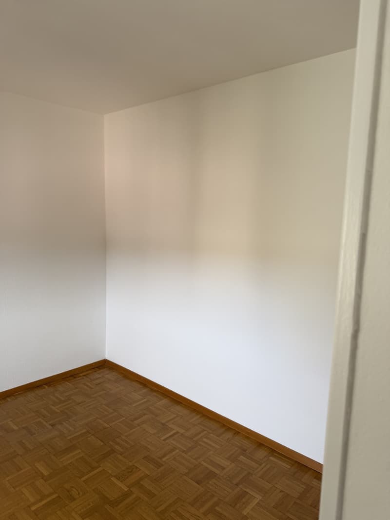 Appartement 1 ½ pièces, 1800 Vevey (4)