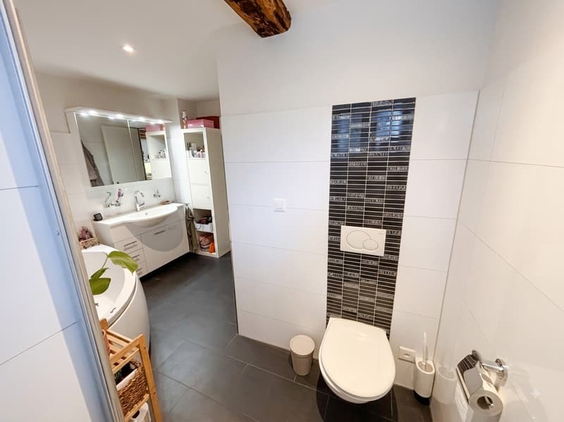 Grosszügige 2.5-Zimmer-Wohnung im Dorfkern Oberwinterthur mit viel Charme (9)