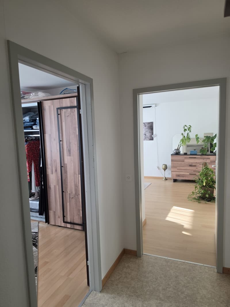 Ab sofort Nachmieter gesucht (11)