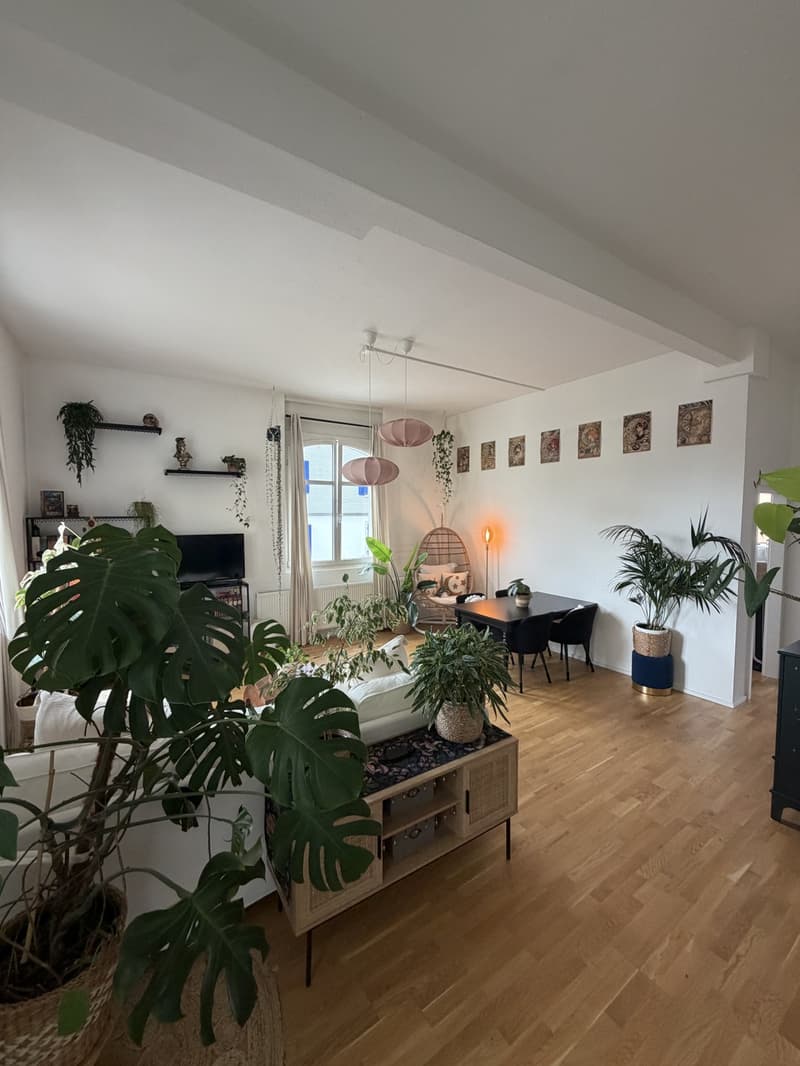 Aussergewöhnliche Wohnung (4)