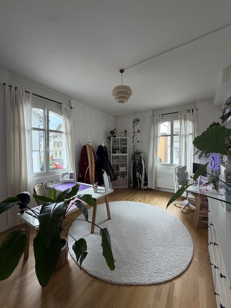 Aussergewöhnliche Wohnung (7)