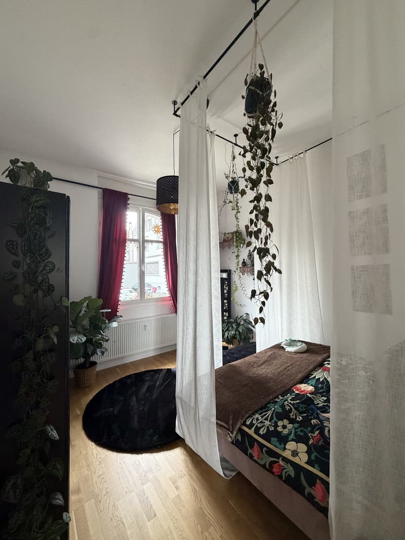 Aussergewöhnliche Wohnung (6)