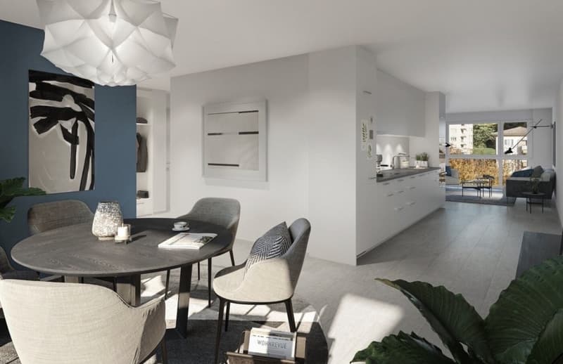 3.5 Zimmer-Wohnung in Döttingen (1)