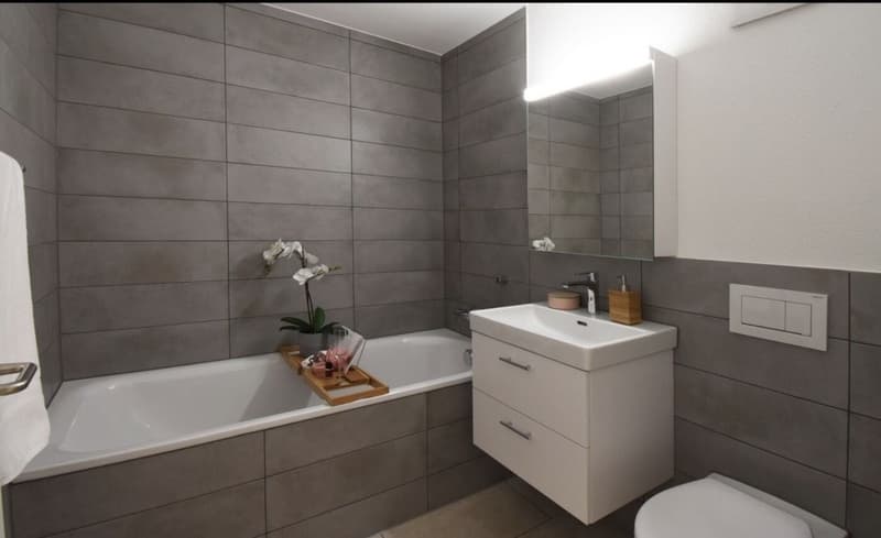 3.5 Zimmer-Wohnung in Döttingen (8)