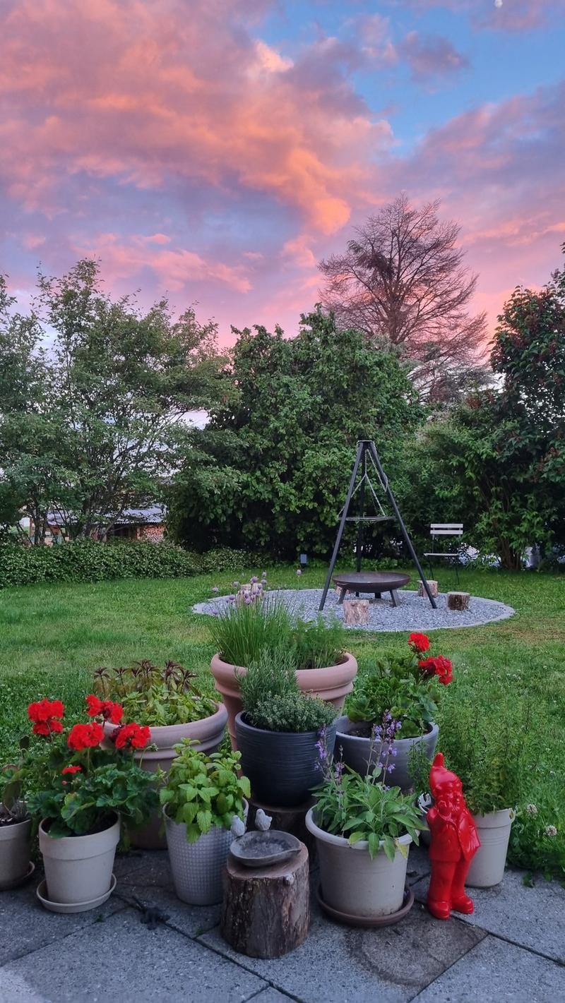 WG-Zimmer in NIEDERGLATT mit grossem Garten und eigener Werkstatt (8)