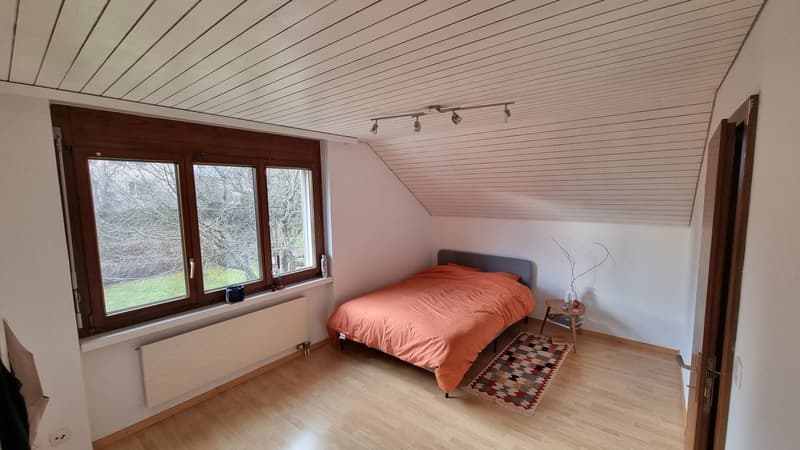 WG-Zimmer in NIEDERGLATT mit grossem Garten und eigener Werkstatt (11)