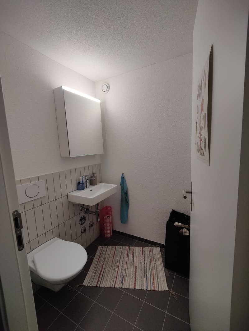 WG-Zimmer in einer 3er WG (6)