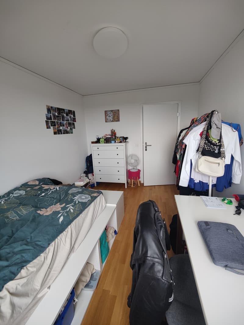 WG-Zimmer in einer 3er WG (2)