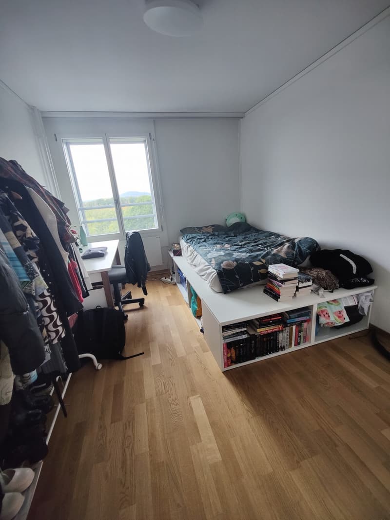 WG-Zimmer in einer 3er WG (1)