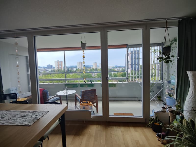 WG-Zimmer in einer 3er WG (4)