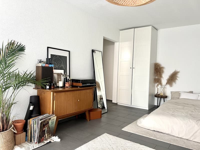 Lovely 1.5 apartment for temporary rental available from 1 october (3)
