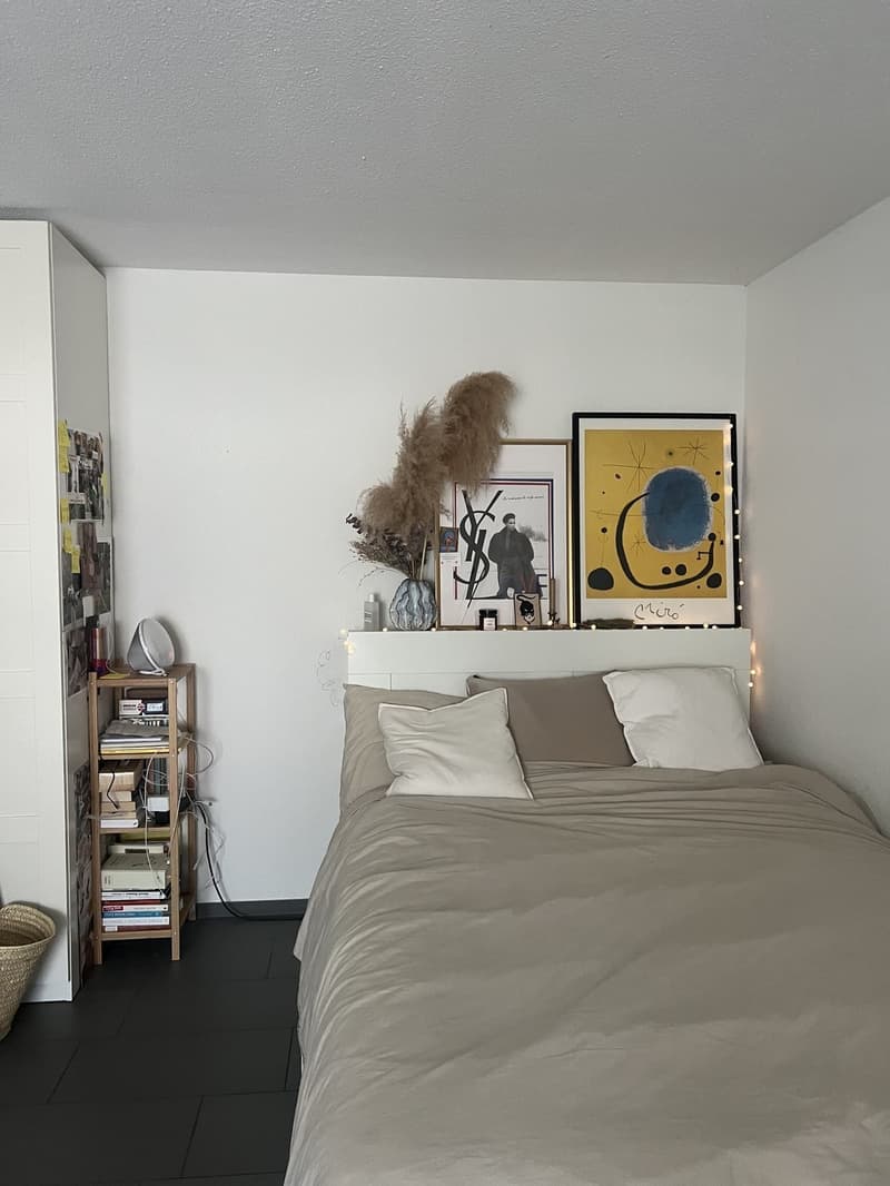 Lovely 1.5 apartment for temporary rental available from 1 october (2)