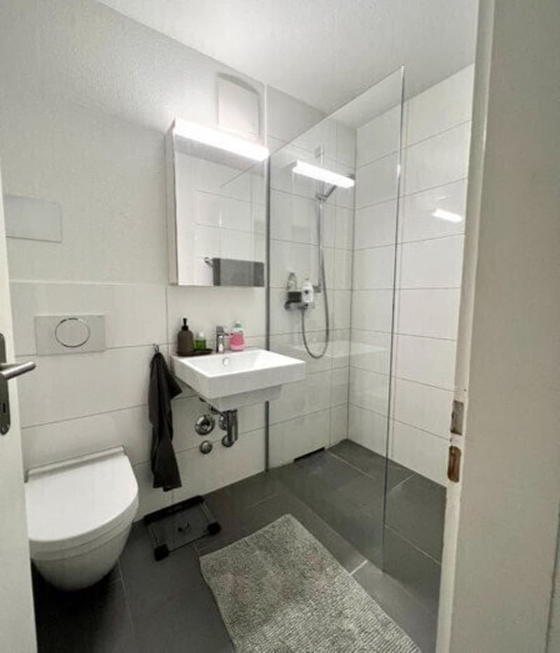 Lovely 1.5 apartment for temporary rental available from 1 october (6)