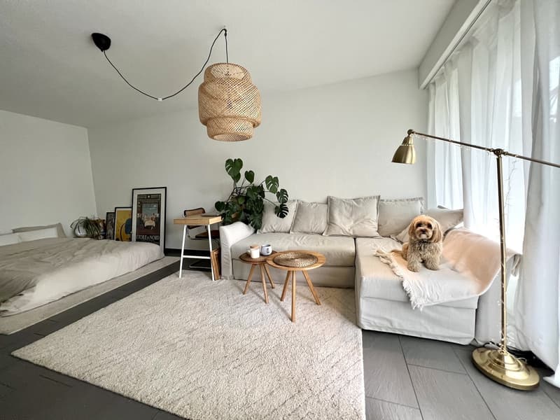 Lovely 1.5 apartment for temporary rental available from 1 october (5)