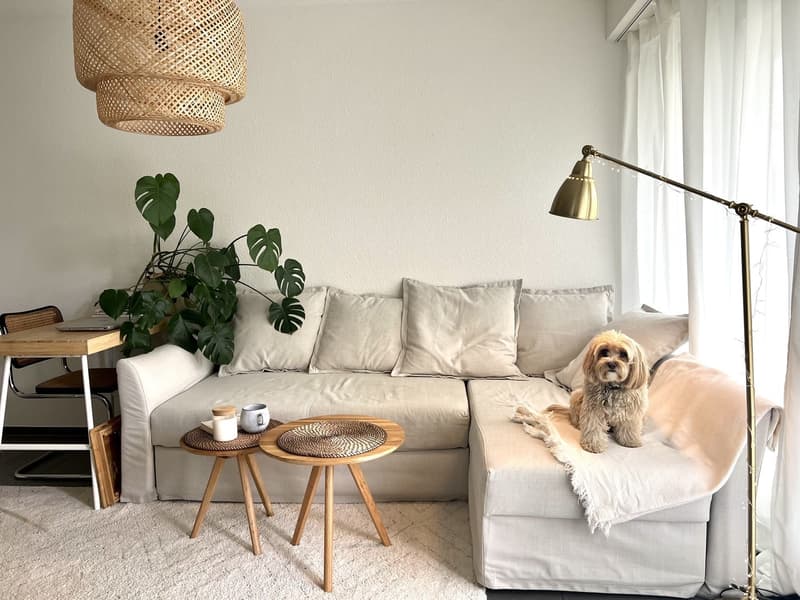 Lovely 1.5 apartment for temporary rental available from 1 october (1)
