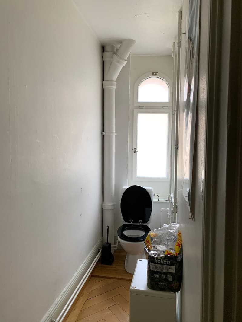 WG-Zimmer in zentraler Altbauwohnung mit Dachterrasse (7)