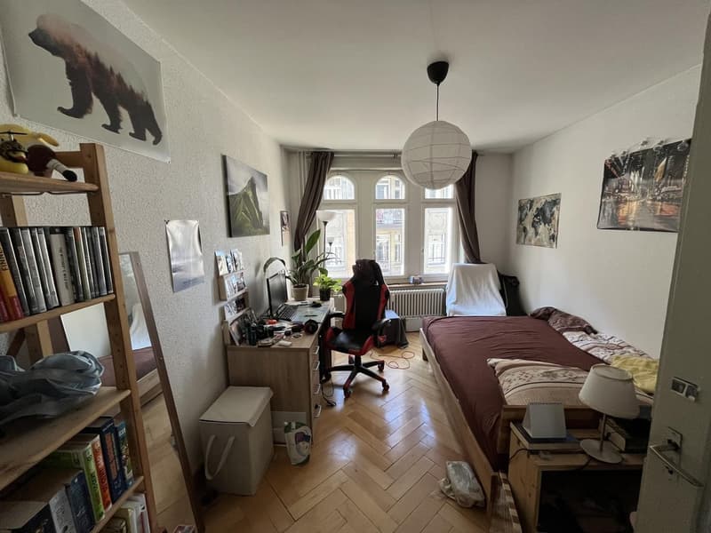 WG-Zimmer in zentraler Altbauwohnung mit Dachterrasse (3)