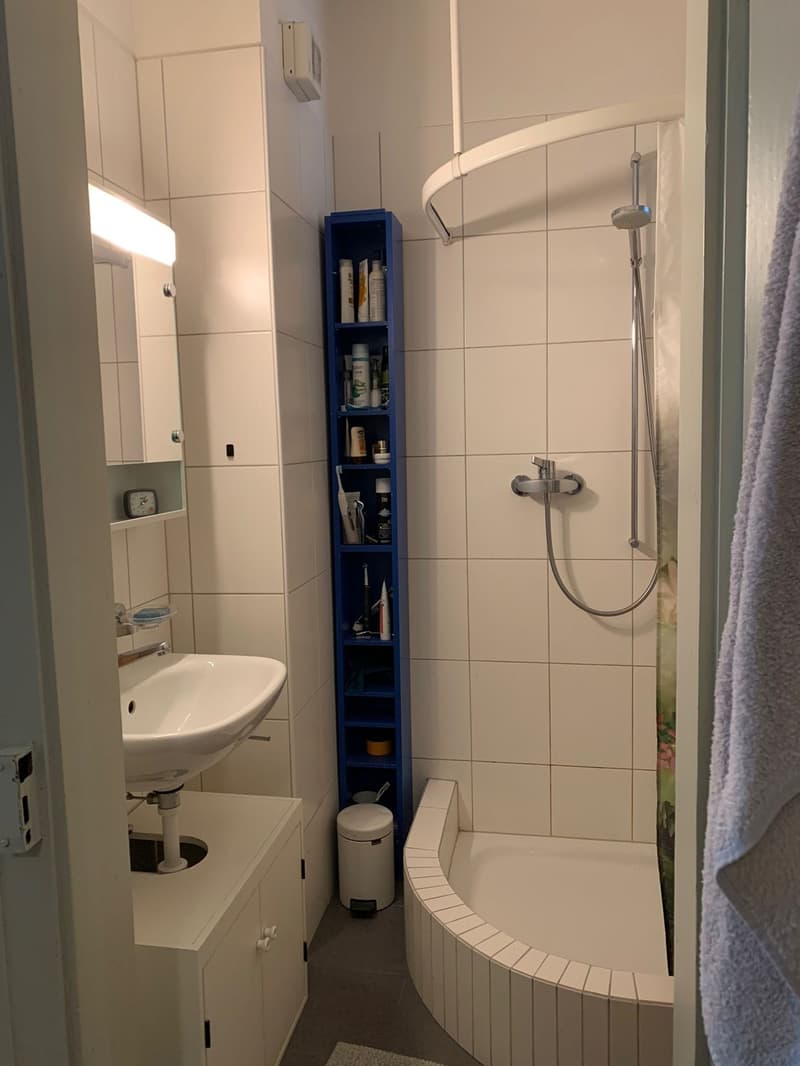 WG-Zimmer in zentraler Altbauwohnung mit Dachterrasse (6)