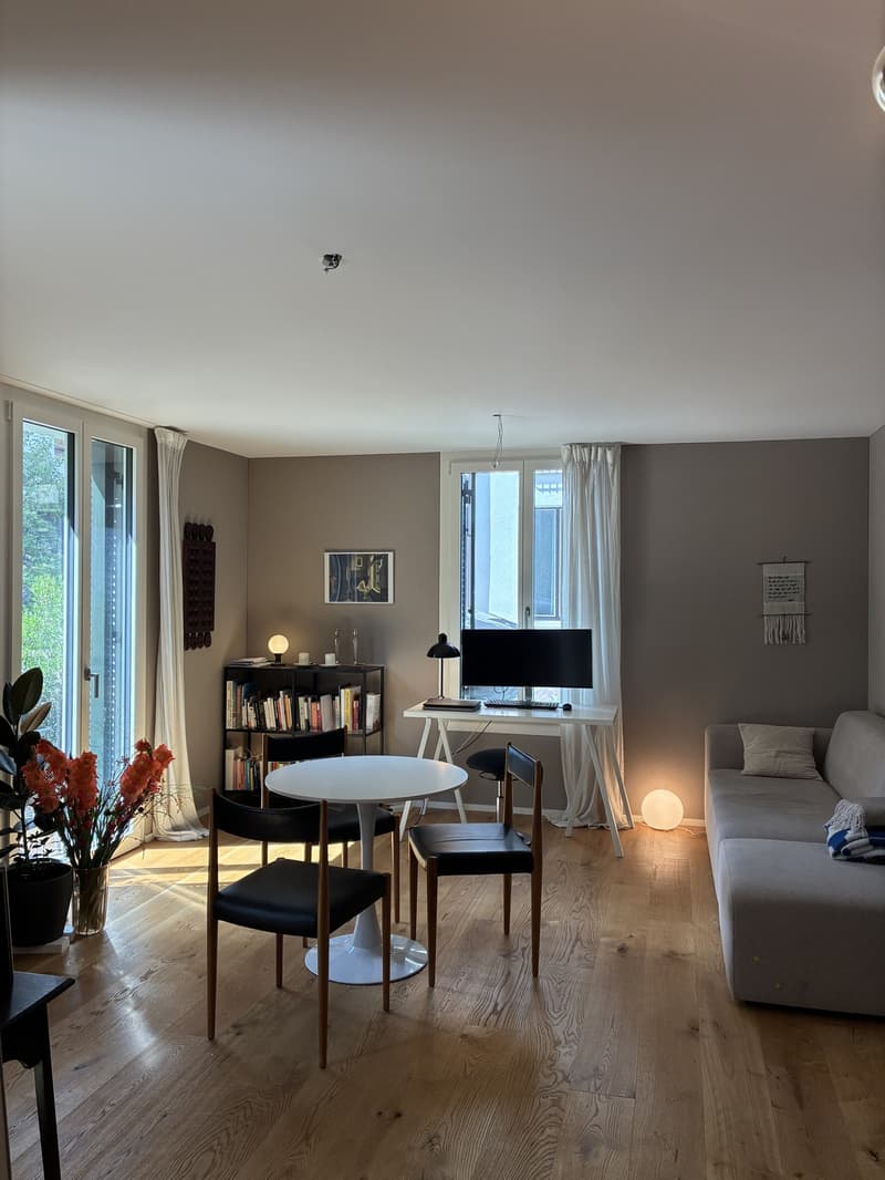 2.5 Zimmer Wohnung (Neubau) in Altstetten (7)