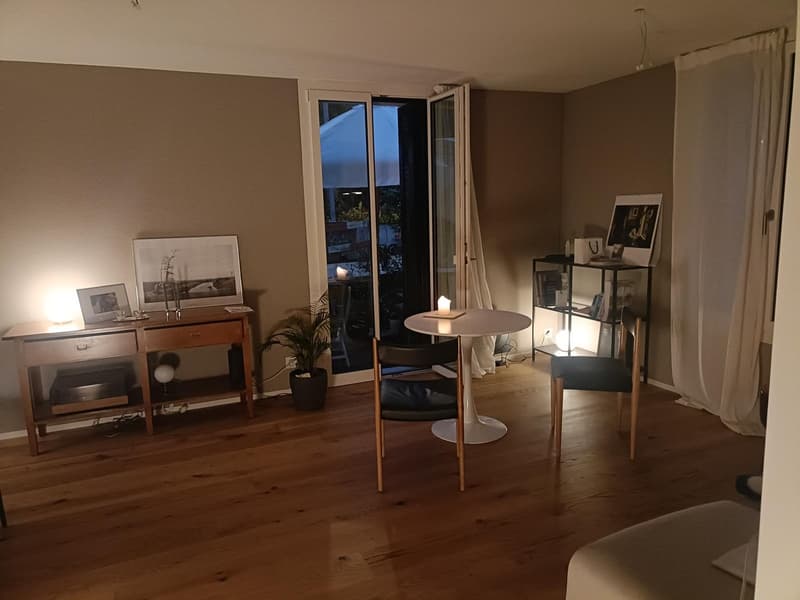 2.5 Zimmer Wohnung (Neubau) in Altstetten (1)