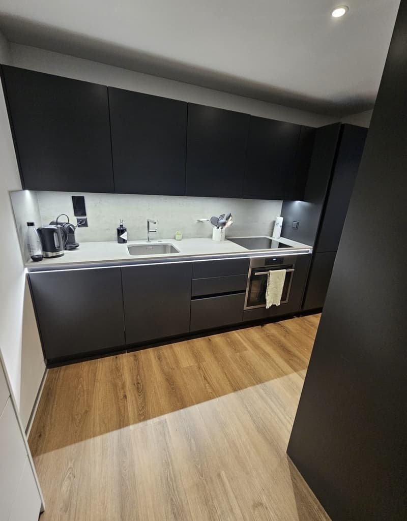 Exklusive 2.0 Zimmer-Wohnung in Pfäffikon ZH (2)
