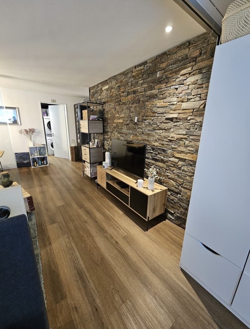 Exklusive 2.0 Zimmer-Wohnung in Pfäffikon ZH (1)
