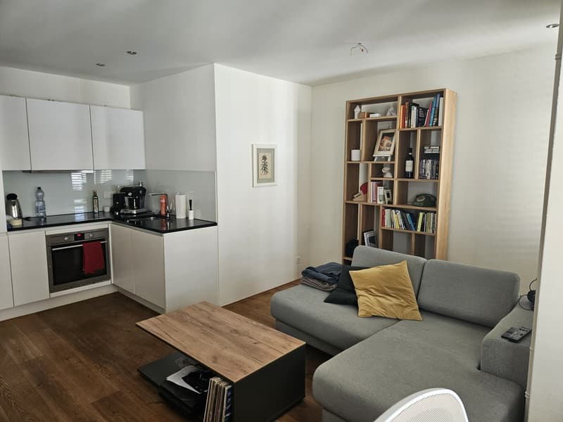 2.5 Zimmerwohnung möbliert, 3 Monate befristet ab 1. Oktober (3)