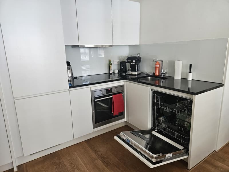 2.5 Zimmerwohnung möbliert, 3 Monate befristet ab 1. Oktober (5)
