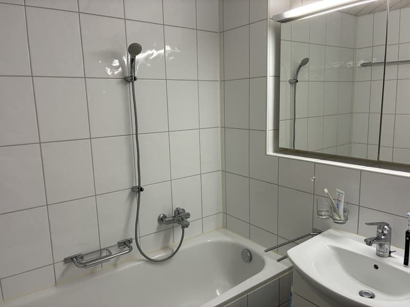 2.5 Zi. Wohnung mit Eigentumsstandard in Veltheim (7)