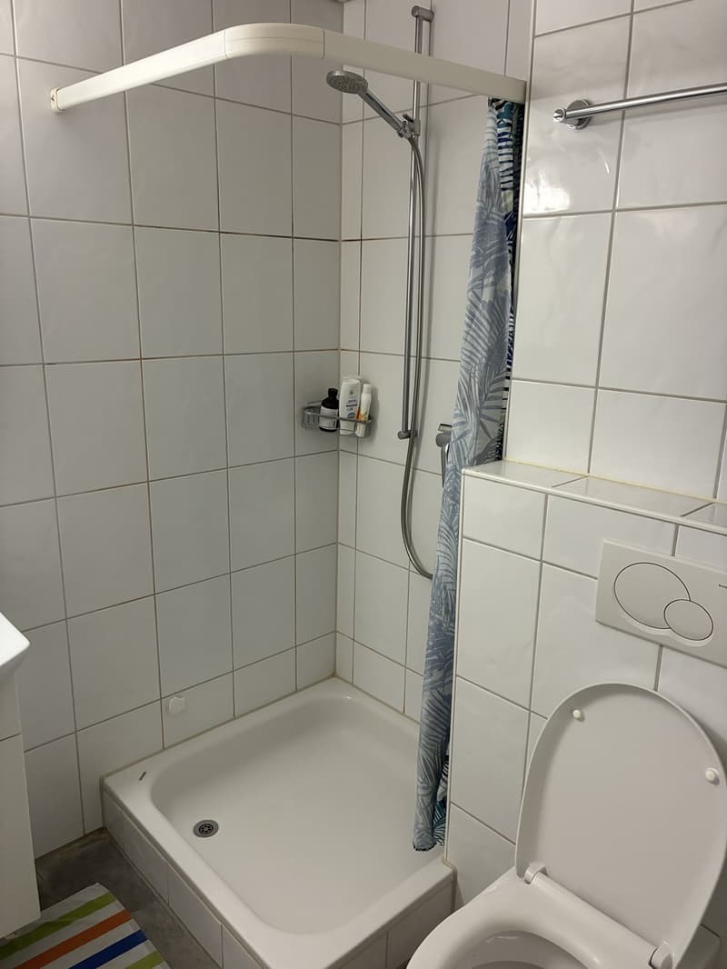 2.5 Zi. Wohnung mit Eigentumsstandard in Veltheim (8)