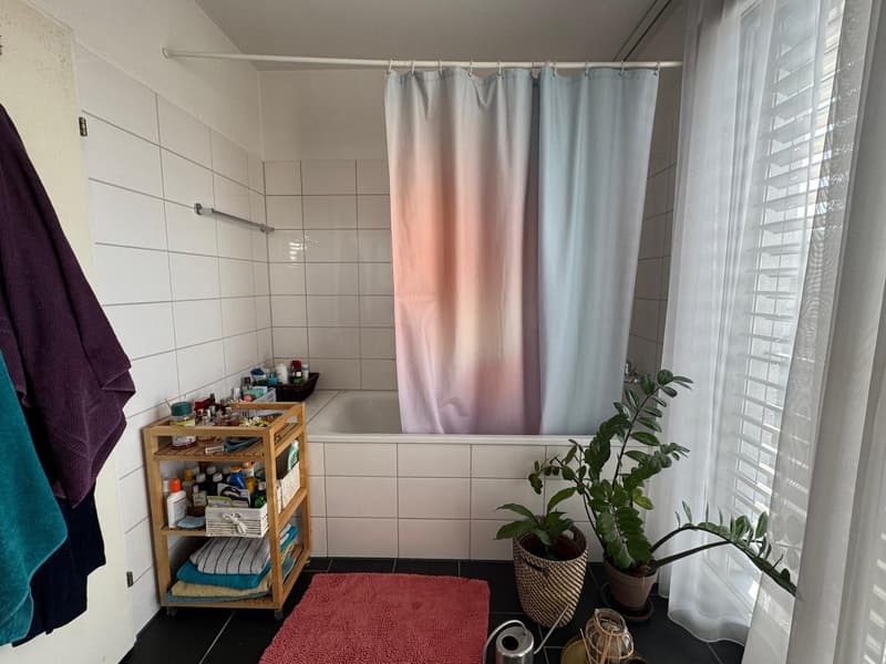 WG Zimmer in der Binz (5)