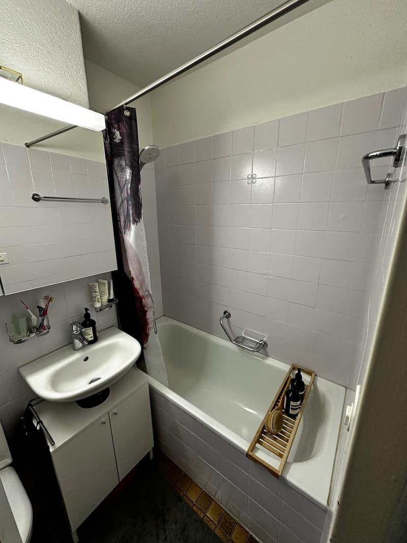 Nachmieter per 01.10 für 3.5-Zimmer-Wohnung an der Malzstrasse, Zürich (6)