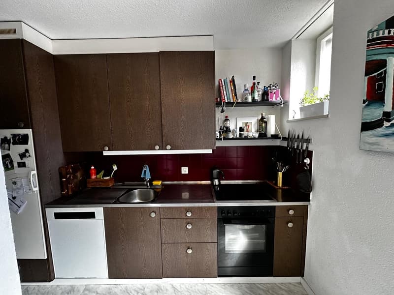 Nachmieter per 01.10 für 3.5-Zimmer-Wohnung an der Malzstrasse, Zürich (7)