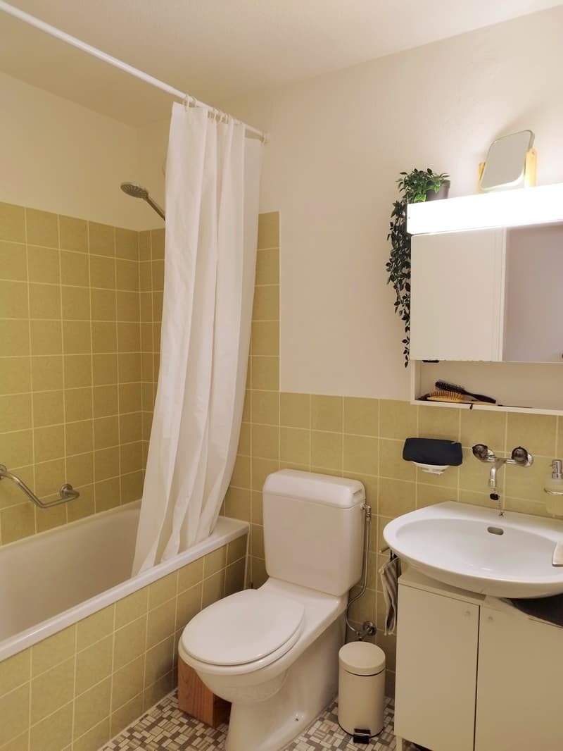 Gemütliche 1,5-Zimmer-Wohnung mit grossem Balkon (3)