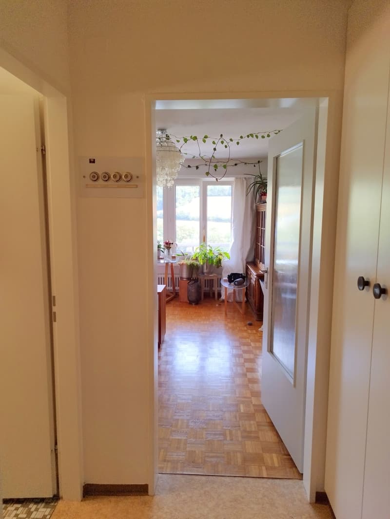 Gemütliche 1,5-Zimmer-Wohnung mit grossem Balkon (4)