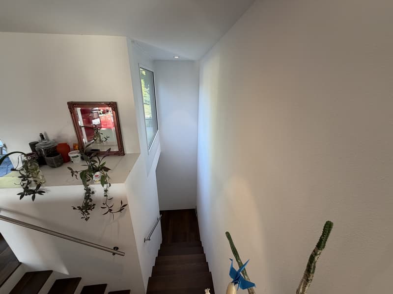 Lichtdurchflutete 4.5-Zimmer-Attikawohnung mit zwei grosszügigen Terrassen in Winterthur (8)