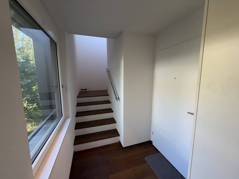 Lichtdurchflutete 4.5-Zimmer-Attikawohnung mit zwei grosszügigen Terrassen in Winterthur (10)