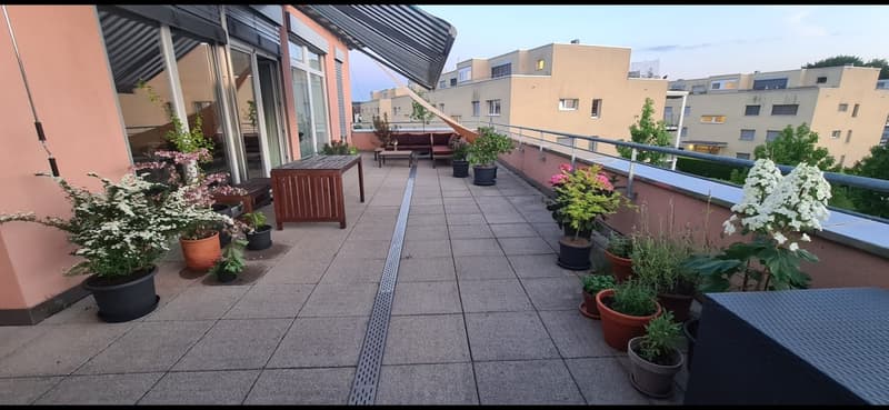 Nachmieter gesucht für wunderschöne 4.5 Zi Dachterrassen-Wohnung (3)