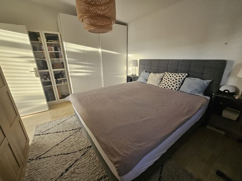 Nachmieter gesucht für wunderschöne 4.5 Zi Dachterrassen-Wohnung (5)