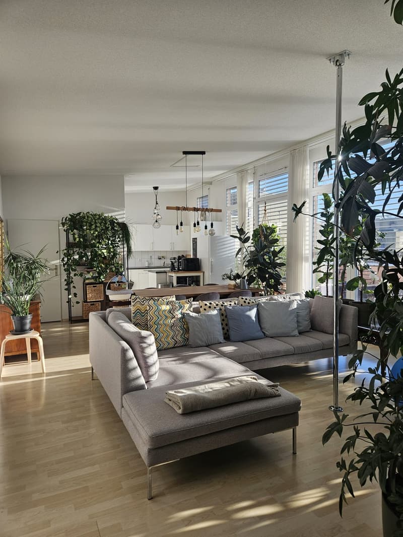 Nachmieter gesucht für wunderschöne 4.5 Zi Dachterrassen-Wohnung (2)