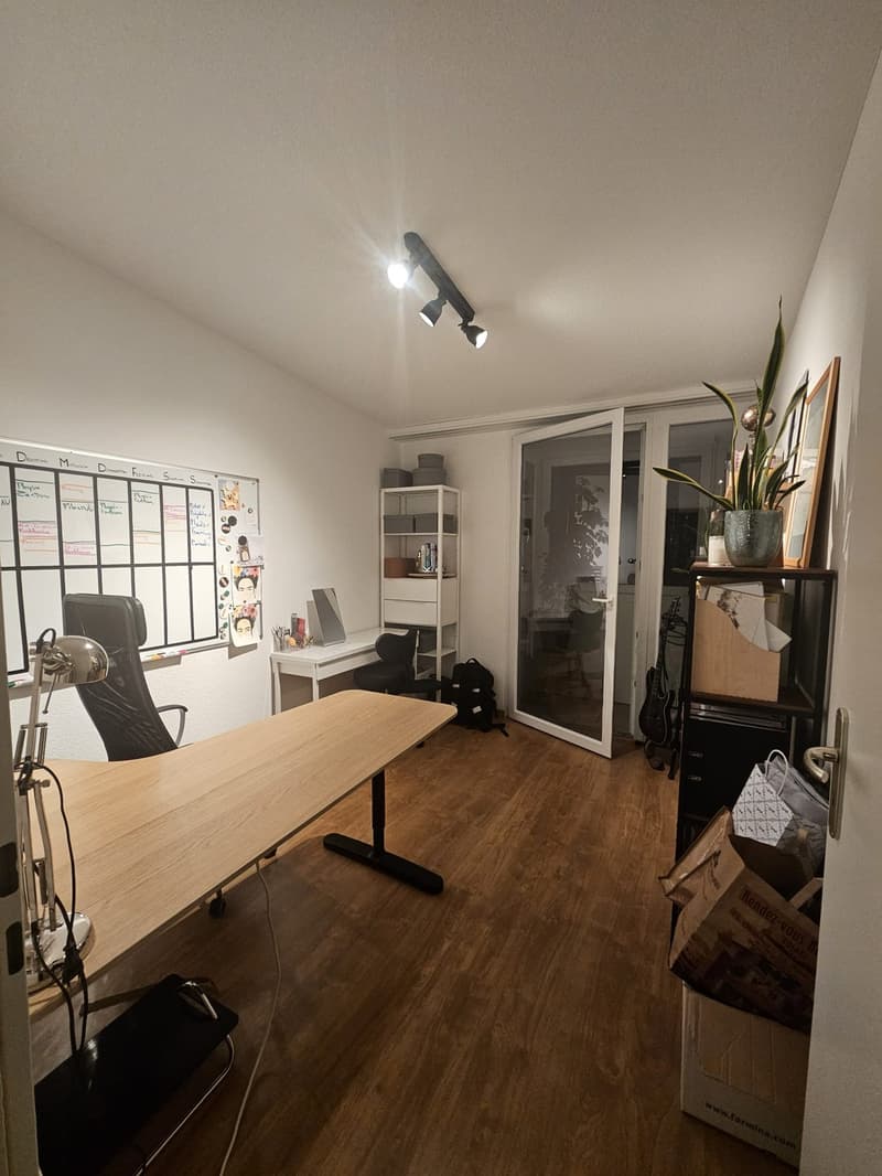 Nachmieter gesucht für wunderschöne 4.5 Zi Dachterrassen-Wohnung (9)