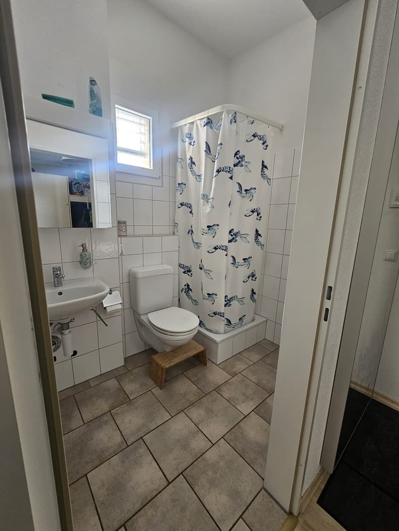 Nachmieter gesucht für wunderschöne 4.5 Zi Dachterrassen-Wohnung (7)